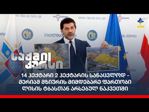 მერიამ მზიურის მიმდებარე ფართობი ლისის ტბასთან არსებულ ნაკვეთში გადაცვალა